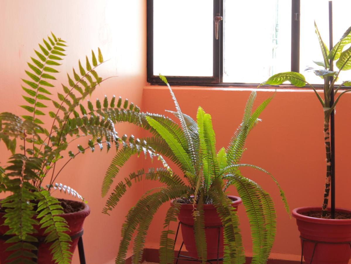 Hotel Galaxia Oaxaca Zewnętrze zdjęcie